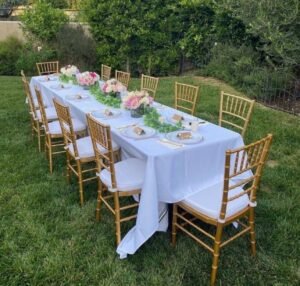 Read more about the article Tables and Chairs Rental in Ottawa for Your Backyard Wedding